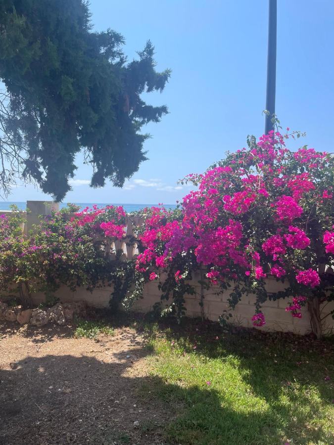 דירות אל קאמפיו Tahiti Dreams מראה חיצוני תמונה